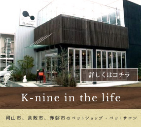 K-nine